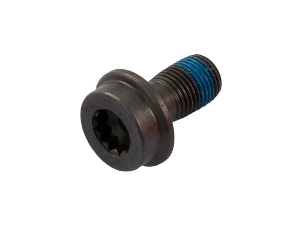 Cylinder screw for PORSCHE like PAF905398
