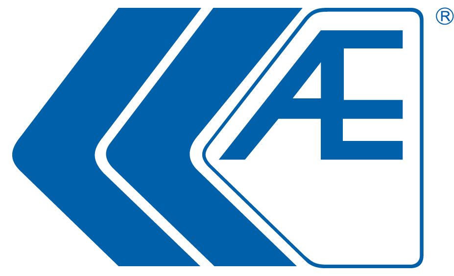AE is one of Federal-Mogul's many brands. Under...