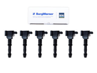 6x ignition coil for PORSCHE 996 997 Carrera 986 Boxster...