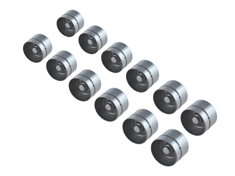 12x hydraulische klepstoters voor PORSCHE 996 997 Carrera Boxster 986 987 klepstoters