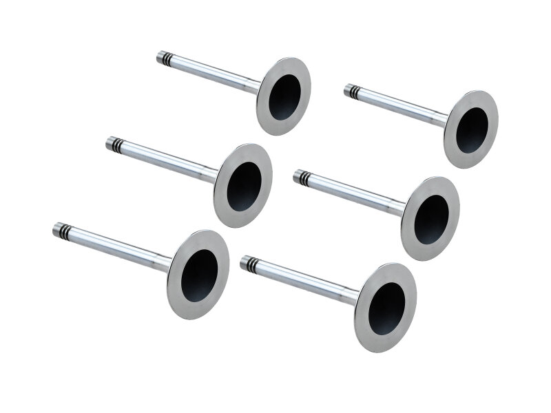 6x inlet valve for PORSCHE 930 turbo 3.0 3.3 964 Carrera...