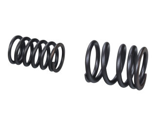 12x Valve Springs for PORSCHE 911 2.2 2.4 SC 2.7 3.0 SC...