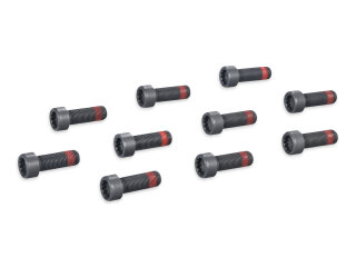 10 tornillos para volante bimasa de PORSCHE 997 991 Boxster 987 981 PAF906651