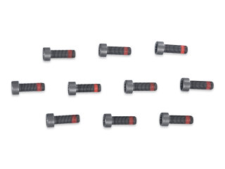 10x Flywheel Bolts for PORSCHE 997 991 Boxster 987 981 Dual Mass Flywheel PAF906651