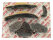 Kit catena di distribuzione per PORSCHE 997 991 Carrera 987 981 Boxster Cayman