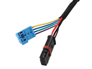 2x Port&oacute;n trasero con motor el&eacute;ctrico para PORSCHE Panamera 970 hasta -13 con cierre servo