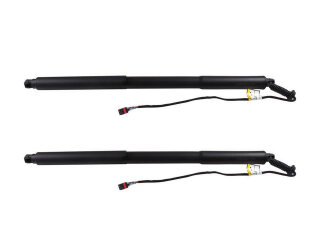 2x Portón trasero con motor eléctrico para...