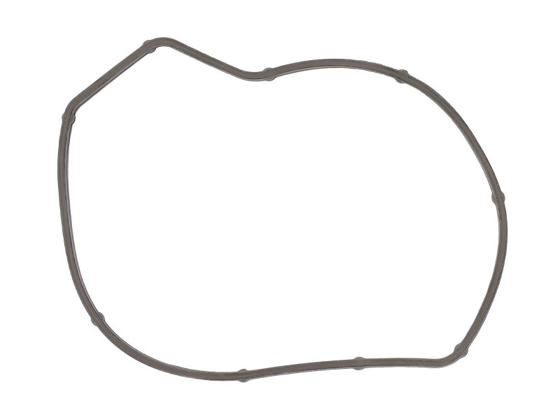 Dichtung Wasserpumpe für PORSCHE Cayenne 957 958...