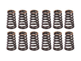 12 Muelles de V&aacute;lvula de Escape para PORSCHE 987 Boxster Cayman 996 997 Carrera 2 4