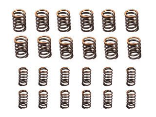 Juego de 12 muelles de v&aacute;lvula de admisi&oacute;n para PORSCHE 987 Boxster Cayman 996 997 C2 C4
