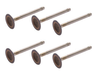 6x inlaatklep voor PORSCHE 911 L 2.0 t/m -68