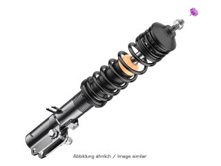 Suspension sport pour PORSCHE 964 Carrera 2 - 90 KW V3 Black Edition