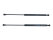 2x Gas Springs Trunk PORSCHE 944 968 Cabriolet Rear Dampers