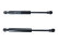 2x Gas Springs Trunk Lid for PORSCHE 996 Carrera Boxster 986 Front Hood