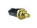 Capteur de température pour PORSCHE Cayenne 955 9PA1 V6 3.2 3.6 liquide de refroidissement 95510612501