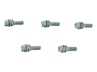 20x bulloni ruota per PORSCHE Cayenne 92A 958 9YA SET 99736198007