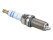 1x bougie dallumage pour PORSCHE Cayenne 4.8 957 970 997 991 turbo BOSCH 99917023690