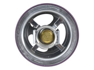 Termostato per PORSCHE Cayenne V8 4.8 S turbo 957 9PA1 94810612501