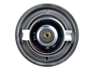 Termostato para PORSCHE Cayenne V6 3.2 955 9PA 95510611300