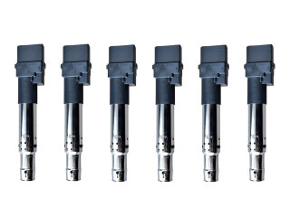 6x bobinas de encendido para PORSCHE Cayenne 955 957 V6...