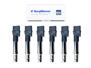 6x bobine voor PORSCHE Cayenne 955 957 V6 3.2/3.6 9PA BERU